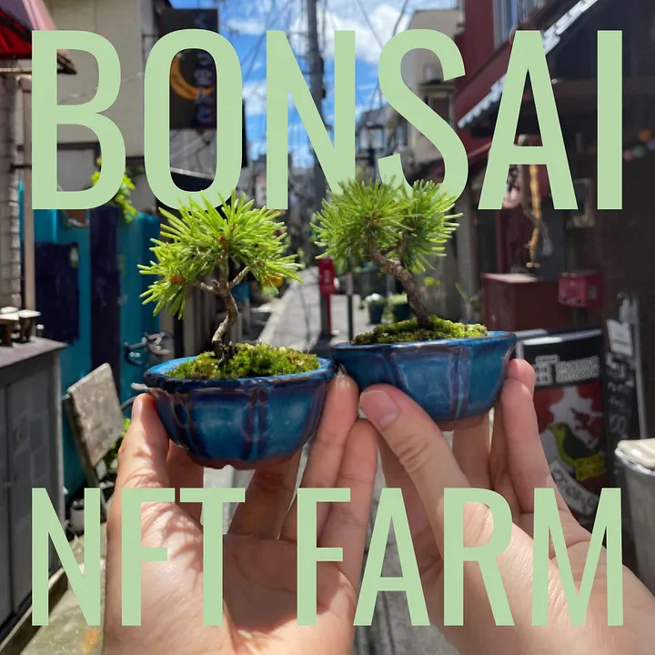 BONSAI NFT FARMでもらえる盆栽