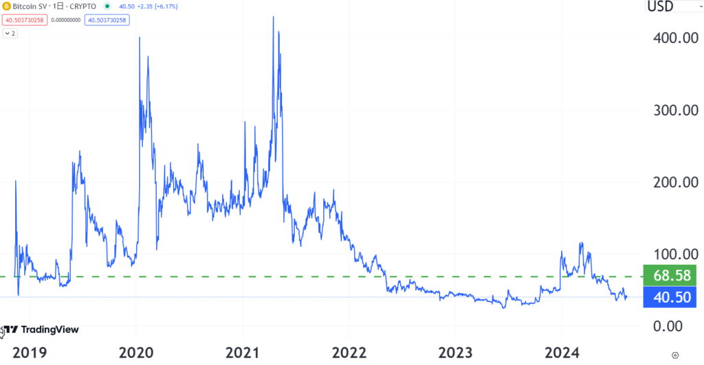 ビットコインSVのチャート